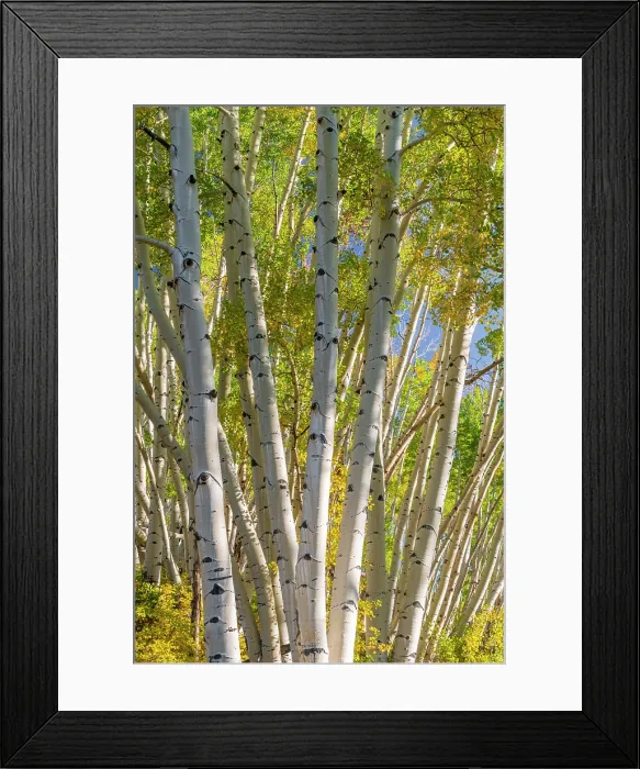 Framed Print : USA, Colorado, Telluride, Hastings Mesa, Last Dollar Road Framed Print : USA, Colorado, Telluride, Hastings Mesa, Last Dollar Road
