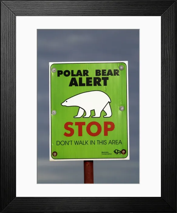 Framed Print : Churchill, Manitoba, Canada. A sign on the outskirts of Churchill warns residents Framed Print : Churchill, Manitoba, Canada. A sign on the outskirts of Churchill warns residents