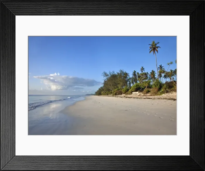 Framed Print : The beautiful coconut palm-fringed Msambweni beach, south of Mombasa, is deserted in the late afternoon Framed Print : The beautiful coconut palm-fringed Msambweni beach, south of Mombasa, is deserted in the late afternoon