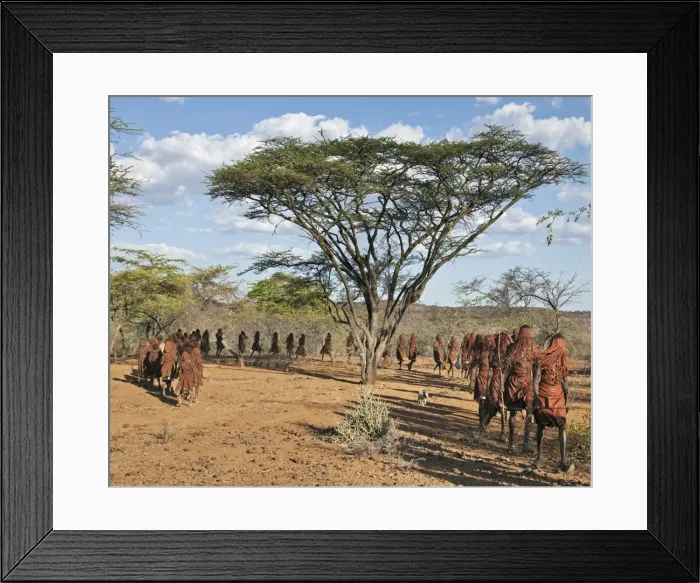 Framed Print : After 2-3 months seclusion, Pokot initiates leave their camp in single file to celebrate Ngetunogh Framed Print : After 2-3 months seclusion, Pokot initiates leave their camp in single file to celebrate Ngetunogh