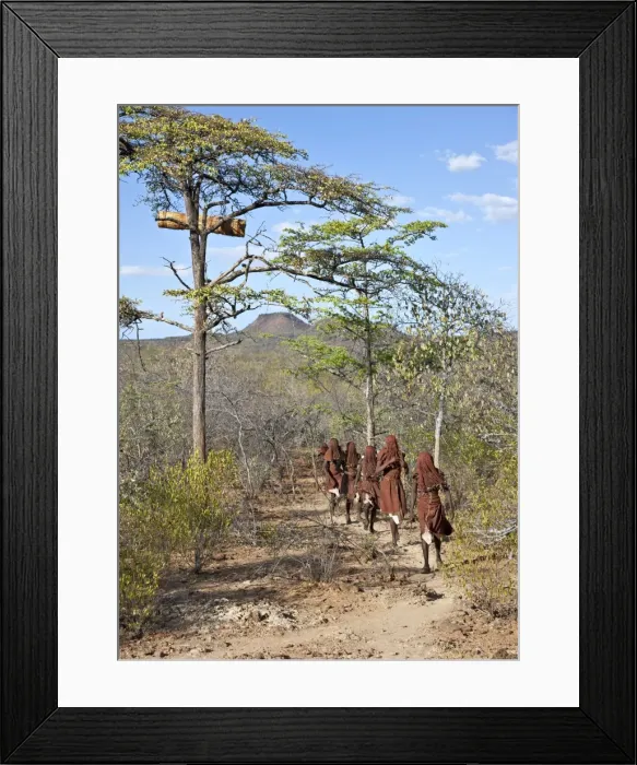 Framed Print : After 2-3 months seclusion, Pokot initiates leave their camp in single file to celebrate Ngetunogh Framed Print : After 2-3 months seclusion, Pokot initiates leave their camp in single file to celebrate Ngetunogh