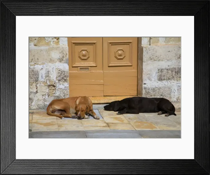 Framed Print : Malta, Marsaxlokk, Europe; Dogs lying comfortably in the bright Mediterranean sun in front of an old Framed Print : Malta, Marsaxlokk, Europe; Dogs lying comfortably in the bright Mediterranean sun in front of an old