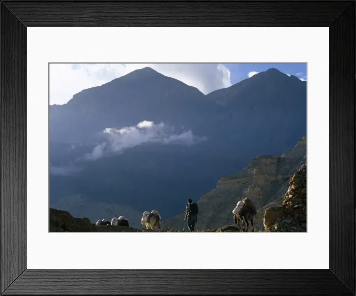 Framed Print : Nepal, Himalaya, Mustang. Trekkers ponies proceed along the stark trail alongside a stone cairn near Chele village Framed Print : Nepal, Himalaya, Mustang. Trekkers ponies proceed along the stark trail alongside a stone cairn near Chele village