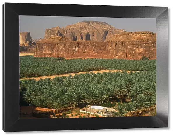 Saudi Arabia, Madinah, Al-Ula. Date plantations lie amidst picturesque scenery in the oasis surrounding