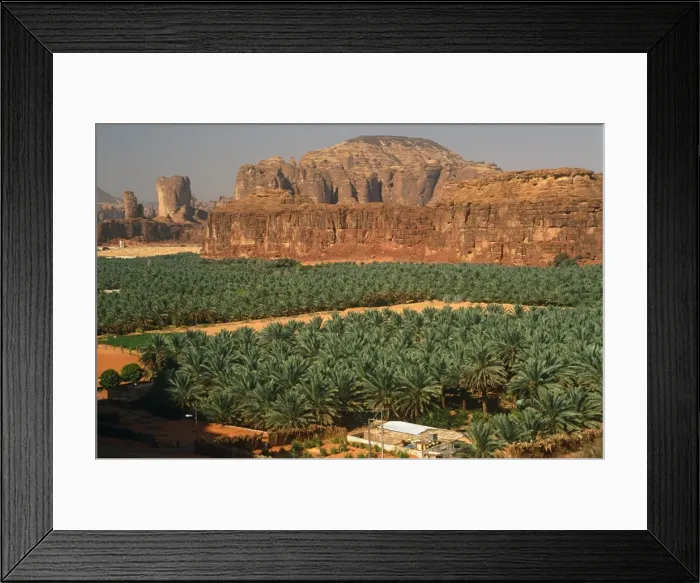 Framed Print : Saudi Arabia, Madinah, Al-Ula. Date plantations lie amidst picturesque scenery in the oasis surrounding Framed Print : Saudi Arabia, Madinah, Al-Ula. Date plantations lie amidst picturesque scenery in the oasis surrounding