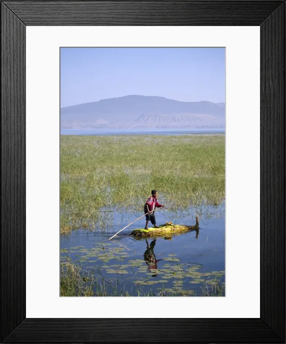 Framed Print : Ethiopia, Lake Awassa. A young boy punts a traditional reed Tankwa through the reeds Framed Print : Ethiopia, Lake Awassa. A young boy punts a traditional reed Tankwa through the reeds