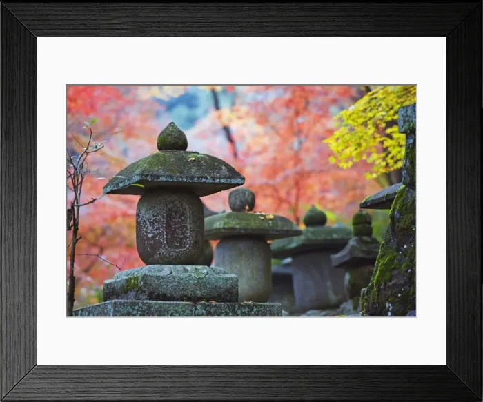 Framed Print : Asia, Japan. Kyoto, Sagano, Nison in (Nisonin) Temple, (834), stone lantern amongst red autumn leaves Framed Print : Asia, Japan. Kyoto, Sagano, Nison in (Nisonin) Temple, (834), stone lantern amongst red autumn leaves