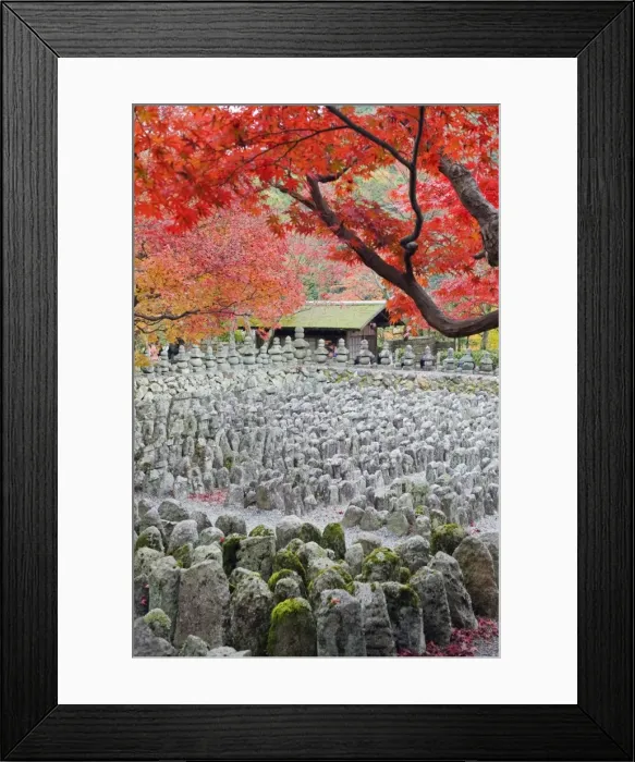 Framed Print : Asia, Japan. Kyoto, Sagano, Arashiyama, Adashino Nenbutsu dera temple, stone lanterns Framed Print : Asia, Japan. Kyoto, Sagano, Arashiyama, Adashino Nenbutsu dera temple, stone lanterns