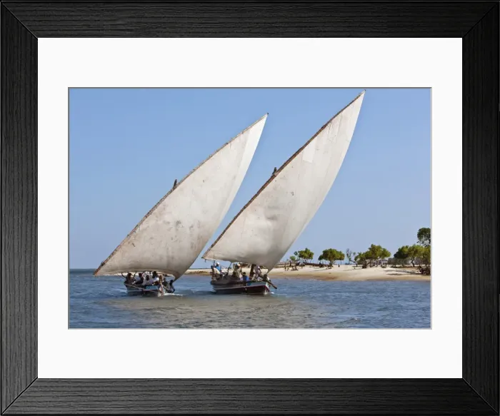 Framed Print : Kenya. Two Jahazi boats sailing off Lamu Island. The main way to transport goods in the Lamu Archipelago Framed Print : Kenya. Two Jahazi boats sailing off Lamu Island. The main way to transport goods in the Lamu Archipelago