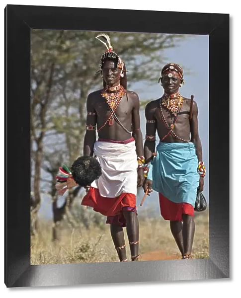 Two Samburu warrior of Northern Kenya in all their finery. The ostrich pompom on the spear was formerly a sign