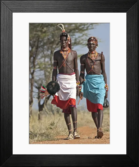 Framed Print : Two Samburu warrior of Northern Kenya in all their finery. The ostrich pompom on the spear was formerly a sign