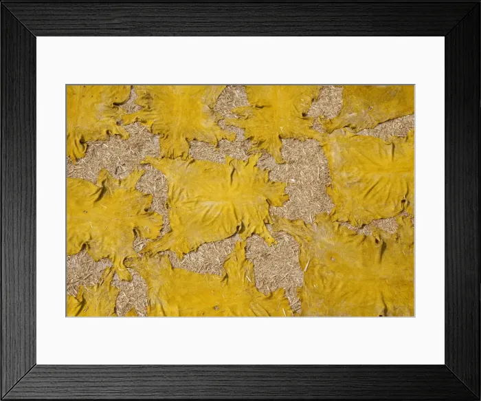 Framed Print : Sheep skins are left in thesun to dry at the tanneries in Fes, Morocco Framed Print : Sheep skins are left in thesun to dry at the tanneries in Fes, Morocco