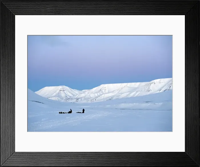 Framed Print : Arctic, Norway, Spitsbergen. Dog sledding near Longyearbyen Framed Print : Arctic, Norway, Spitsbergen. Dog sledding near Longyearbyen