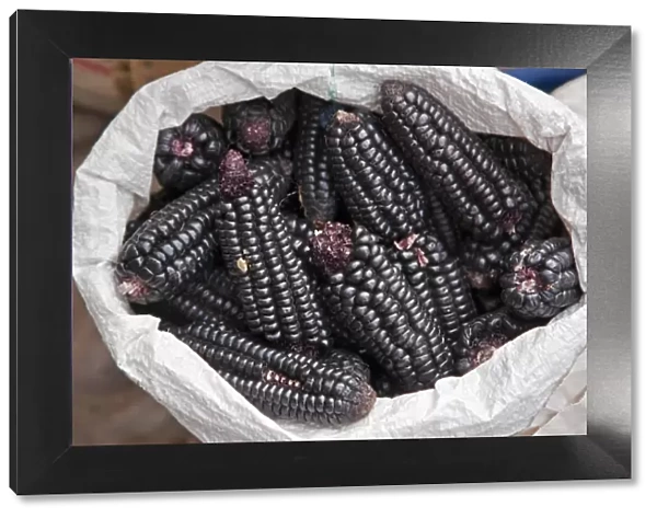 Peru. Black maize cobs, or corn, for sale at Pisac market during the busy weekly Sunday market