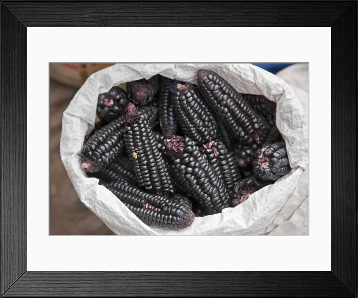 Framed Print : Peru. Black maize cobs, or corn, for sale at Pisac market during the busy weekly Sunday market Framed Print : Peru. Black maize cobs, or corn, for sale at Pisac market during the busy weekly Sunday market
