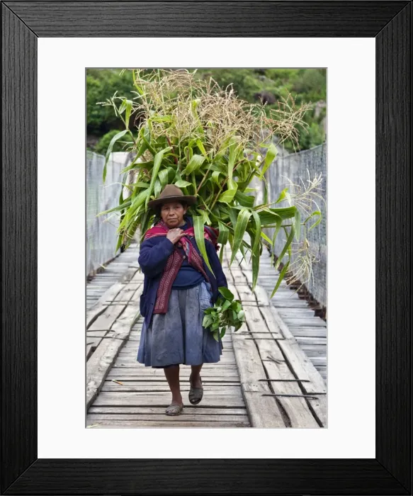 Framed Print : Peru, A woman with a load of maize stalks to feed to her pigs crosses a narrow bridge spanning the Urubamba Framed Print : Peru, A woman with a load of maize stalks to feed to her pigs crosses a narrow bridge spanning the Urubamba
