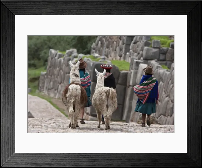 Framed Print : Peru, Native Indian women lead their llamas past the ruins of Saqsaywaman Framed Print : Peru, Native Indian women lead their llamas past the ruins of Saqsaywaman