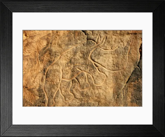 Framed Print : Libya, Fezzan, Messak Settafet. A petroglyph of a rhinoceros stands among the rocky outcrops of Wadi Framed Print : Libya, Fezzan, Messak Settafet. A petroglyph of a rhinoceros stands among the rocky outcrops of Wadi