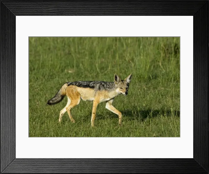 Framed Print : April 2010 Framed Print : April 2010