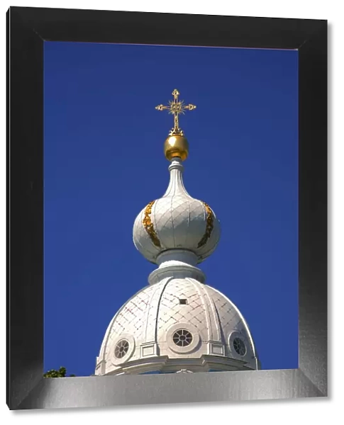 Russia, St. Petersburg; One of the numerous cupolas of Smolny Cathedral