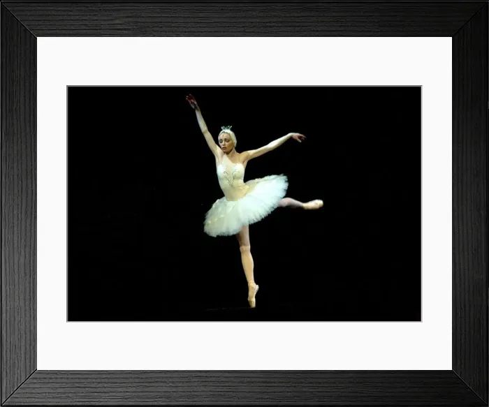 Framed Print : Russia, St. Petersburg; The Prima Ballerina playing the Swan Princess Odette during a solo in Tchaikovsky s Framed Print : Russia, St. Petersburg; The Prima Ballerina playing the Swan Princess Odette during a solo in Tchaikovsky s