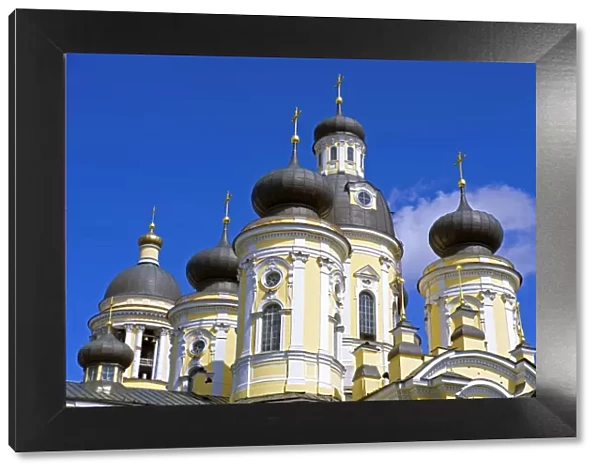 Russia, St Petersburg. Cupolas of the Vladimirsky Church