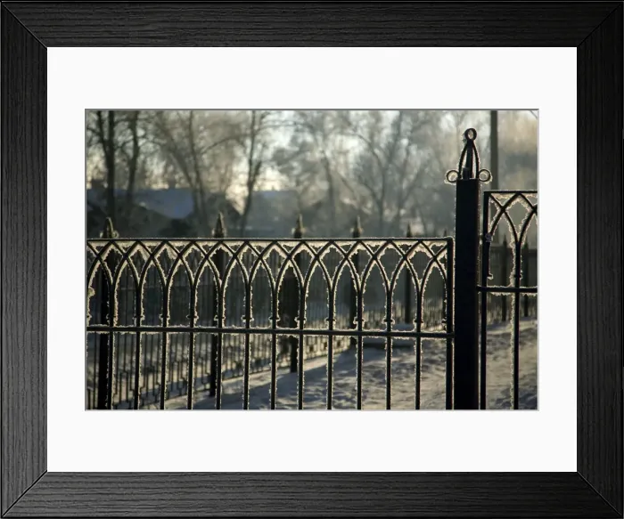 Framed Print : Russia; Siberia; Irkutsk; Frost on an iron gate early morning Framed Print : Russia; Siberia; Irkutsk; Frost on an iron gate early morning