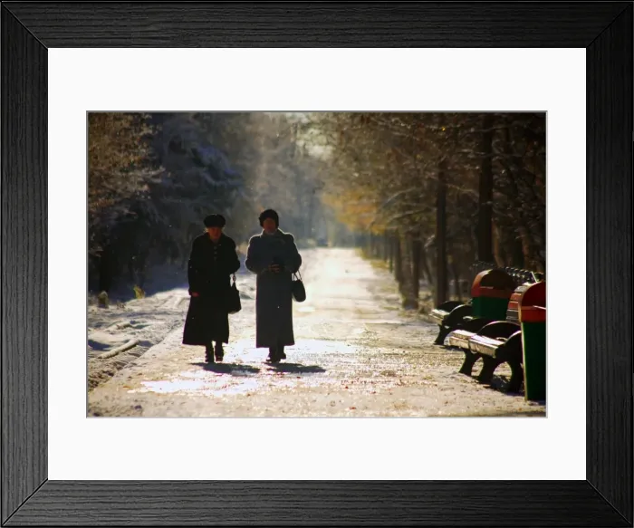 Framed Print : Russia, Far East, Sakhalin; Yuzhno-Sakhalinsk; Two elderly woman walking amidst trees in the main park of