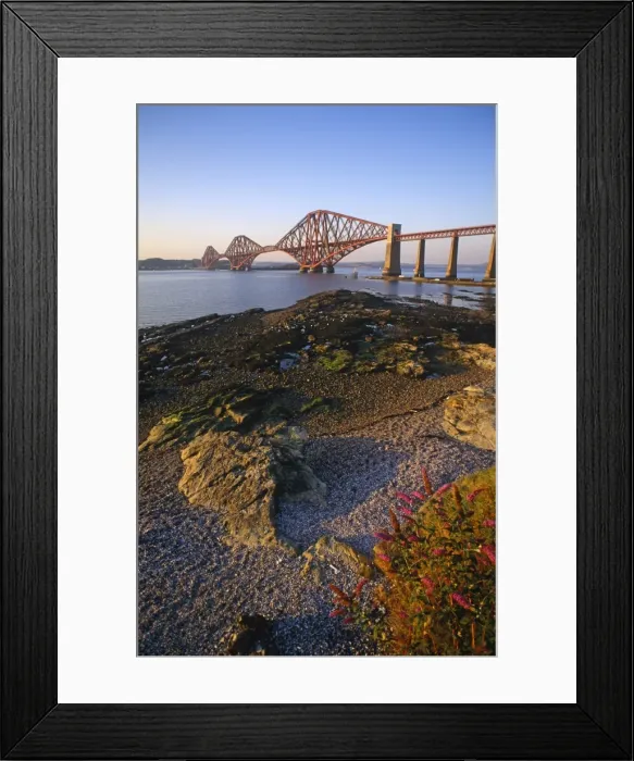 Framed Print : The Forth Rail Bridge, Firth of Forth, Edinburgh, Scotland Framed Print : The Forth Rail Bridge, Firth of Forth, Edinburgh, Scotland