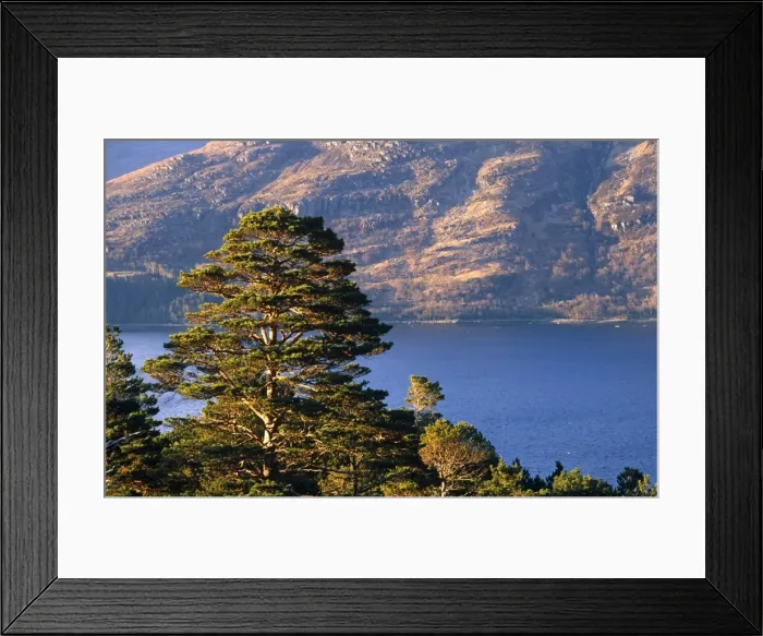 Framed Print : Loch Torridon, Wester Ross, Scotland Framed Print : Loch Torridon, Wester Ross, Scotland