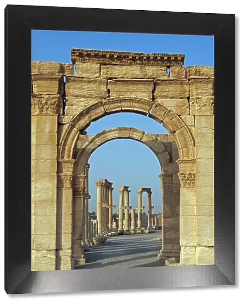 Syria, Palmyra. Archway off the cardo maximus