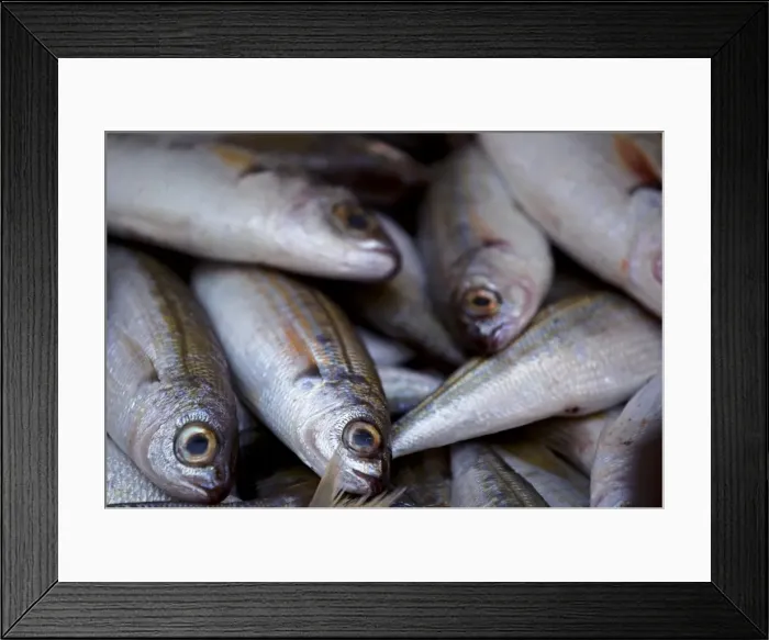 Framed Print : Sicily, Italy, Western Europe; Fish for sale at the market Framed Print : Sicily, Italy, Western Europe; Fish for sale at the market