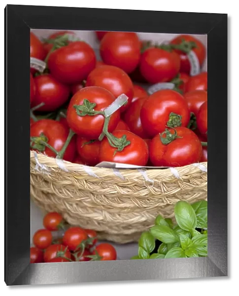 Sicily, Italy, Western Europe; Tomatoes and basil; staple items in the Southern Italian kitchen