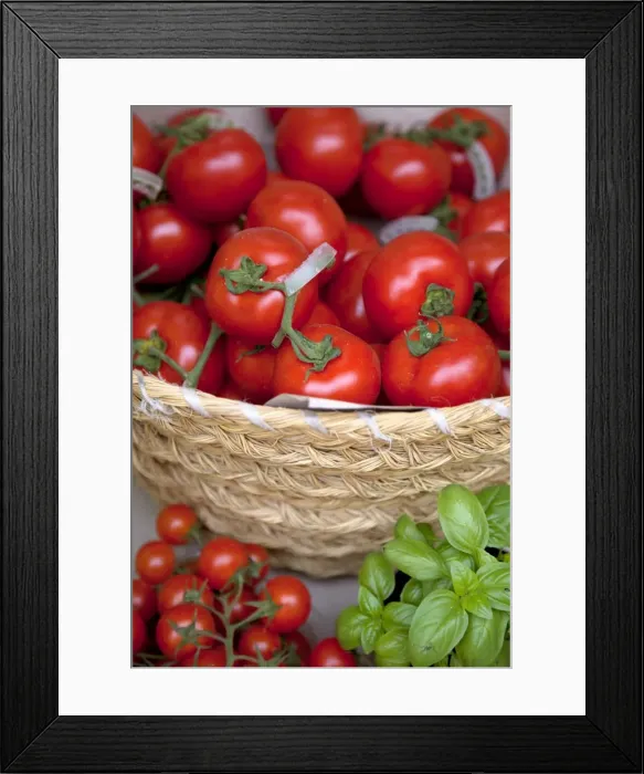 Framed Print : Sicily, Italy, Western Europe; Tomatoes and basil; staple items in the Southern Italian kitchen Framed Print : Sicily, Italy, Western Europe; Tomatoes and basil; staple items in the Southern Italian kitchen