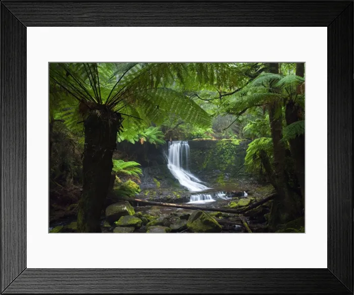 Framed Print : Australia, Tasmania, Mt Field National Park. Horseshoe Falls Framed Print : Australia, Tasmania, Mt Field National Park. Horseshoe Falls