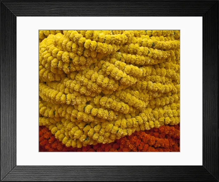 Framed Print : A close up of Fresh Marigold garlands at the busy Mullik Ghat flower market near Howrah bridge Framed Print : A close up of Fresh Marigold garlands at the busy Mullik Ghat flower market near Howrah bridge