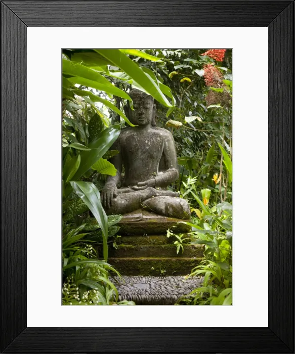 Framed Print : Bali, Ubud. A statue of Budda sits serenely in gardens Framed Print : Bali, Ubud. A statue of Budda sits serenely in gardens