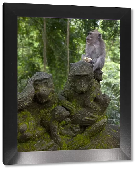 Bali, Ubud. A Macaque sitting on a stone carving of a Macaque