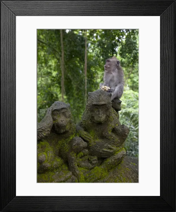 Framed Print : Bali, Ubud. A Macaque sitting on a stone carving of a Macaque Framed Print : Bali, Ubud. A Macaque sitting on a stone carving of a Macaque