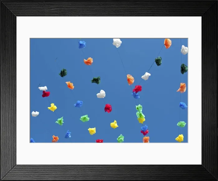 Framed Print : Europe, France, Dordogne, Montignac. Plastic flowers at the celebrations to remember Occitania, its customs and language in the market town of Montignac on the V zre Framed Print : Europe, France, Dordogne, Montignac. Plastic flowers at the celebrations to remember Occitania, its customs and language in the market town of Montignac on the V zre
