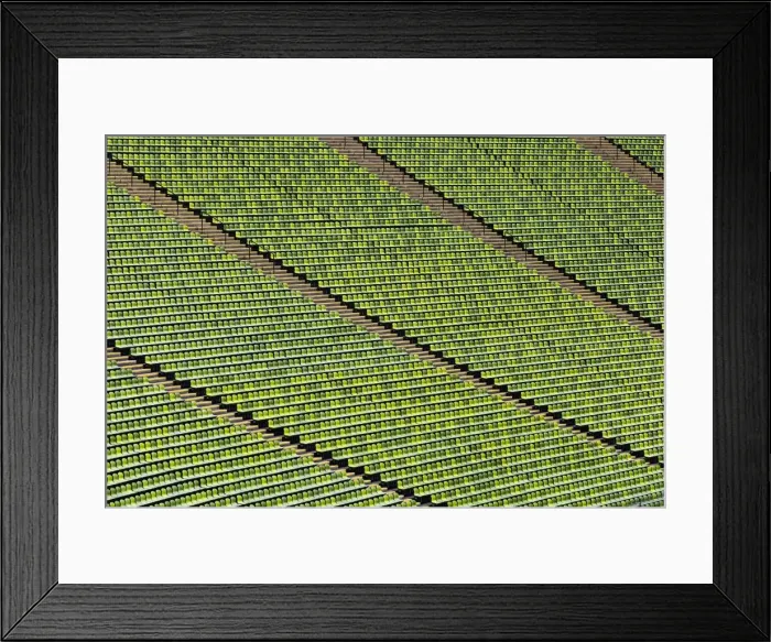 Framed Print : Green stadium seating in the Munich Olympic Stadium, Munich Olympic Park Framed Print : Green stadium seating in the Munich Olympic Stadium, Munich Olympic Park
