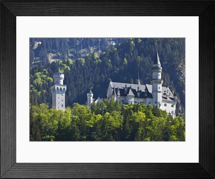 Framed Print : Neuschwanstein Castle viewed from the village of Schwangau, Bayern, Germany Framed Print : Neuschwanstein Castle viewed from the village of Schwangau, Bayern, Germany