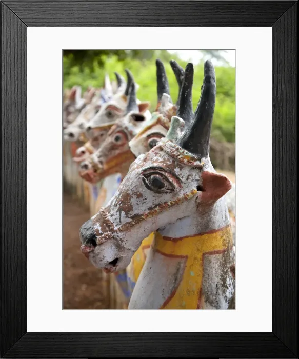Framed Print : India, Chettinad. Terracotta horses lined up by the Ayyanar Temple. Although they have horns Framed Print : India, Chettinad. Terracotta horses lined up by the Ayyanar Temple. Although they have horns