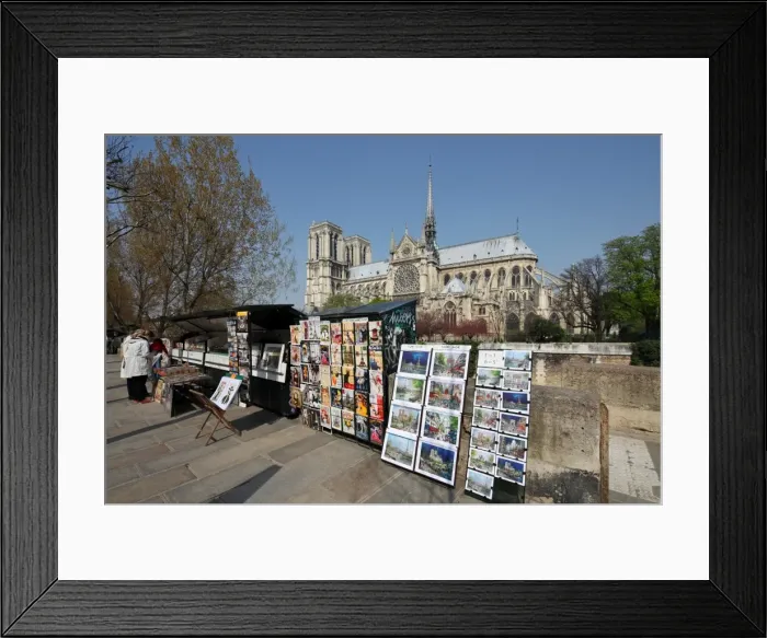 Framed Print : The famous cathedral of Notre Dame in Paris with the Bouquinistes in the foreground Framed Print : The famous cathedral of Notre Dame in Paris with the Bouquinistes in the foreground