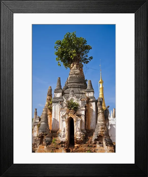 Framed Print : Myanmar, Inle Lake, Indein. West of Ywama village on Inle Lake lie the crumbling ruins of Indein Framed Print : Myanmar, Inle Lake, Indein. West of Ywama village on Inle Lake lie the crumbling ruins of Indein