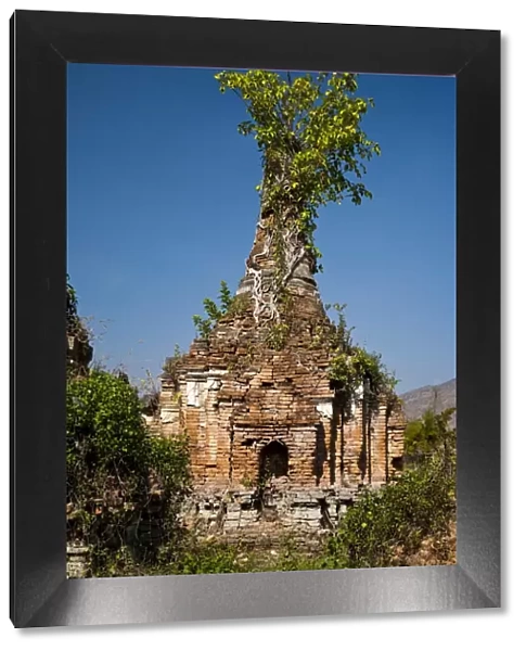 Myanmar, Burma, Inle Lake. The crumbling and unrestored ruins at Sankar