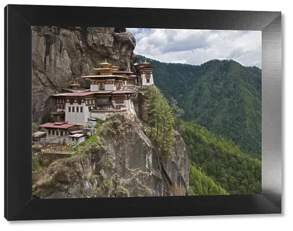 Taktshang Goemba, Tiger??s Nest??, is Bhutan??s most famous monastery. It is perched miraculously on the ledge of a sheer cliff 900 metres above the floor of the Paro Valley. Legend relates how Guru Rinpoche flew to the site on a tigress