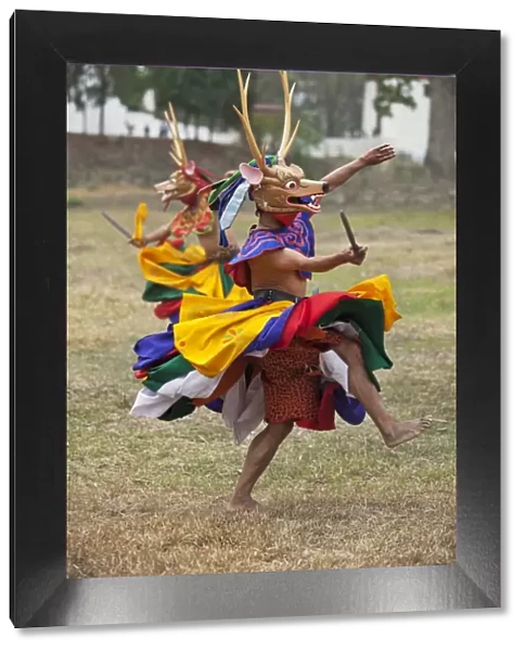 Dancers perform Shazam Tam, the Dance of the Four Stags outside Punakha Dzong. The dance commemorates the subjugation of the troublesome Wind God by Guru Rinpoche who rode the Gods stag in celebration