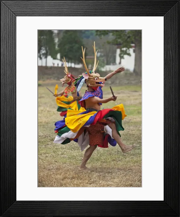 Framed Print : Dancers perform Shazam Tam, the Dance of the Four Stags outside Punakha Dzong. The dance commemorates the subjugation of the troublesome Wind God by Guru Rinpoche who rode the Gods stag in celebration Framed Print : Dancers perform Shazam Tam, the Dance of the Four Stags outside Punakha Dzong. The dance commemorates the subjugation of the troublesome Wind God by Guru Rinpoche who rode the Gods stag in celebration