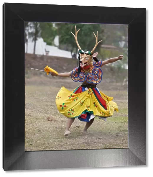 A dancer performs Shazam Tam, the Dance of the Four Stags outside Punakha Dzong. The dance commemorates the subjugation of the troublesome Wind God by Guru Rinpoche who rode the Gods stag to celebrate victory